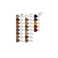Carta de color de Tec Italy