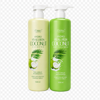 Kit Chihtsai Hydro Hyaluron Coconut – Shampoo + Semi Treatment (1000 ml c/u) Rutina profesional de hidratación profunda para cabello seco, deshidratado y con frizz