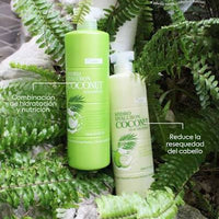 Kit Chihtsai Hydro Hyaluron Coconut – Shampoo + Semi Treatment (1000 ml c/u) Rutina profesional de hidratación profunda para cabello seco, deshidratado y con frizz