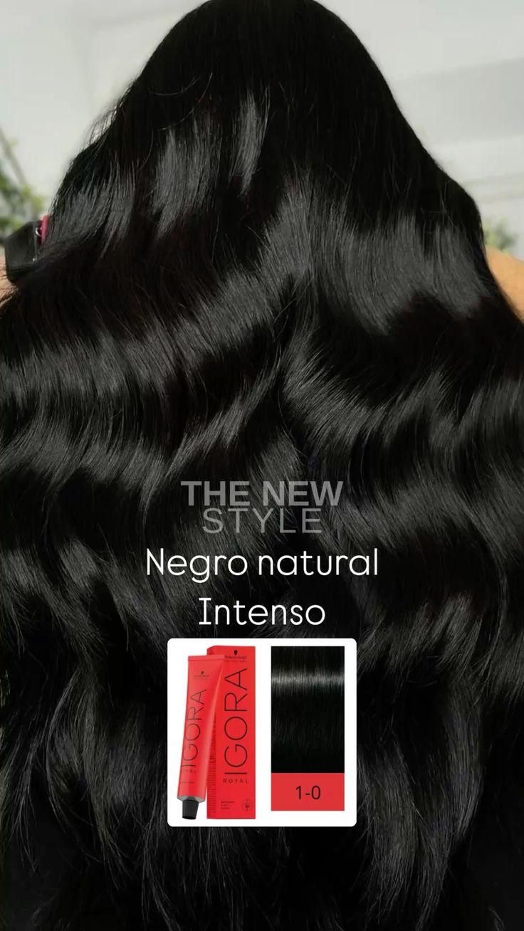 IGORA ROYAL 1-0 Negro Natural – 60 g