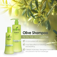 CHIHTSAI Olive Shampoo – 1000 ml