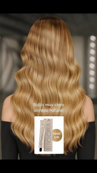 IGORA ROYAL ZERO AMM 9-50 Louro Extra Claro Dourado Natural – 60 g