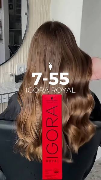 IGORA ROYAL ZERO AMM 7-55 Louro Médio Dourado Extra – 60 g