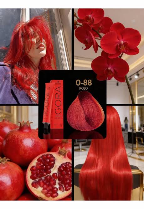 IGORA ROYAL 0-88 Concentrado Rojo – 60 g