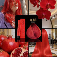 IGORA ROYAL 0-88 Concentrado Rojo – 60 g